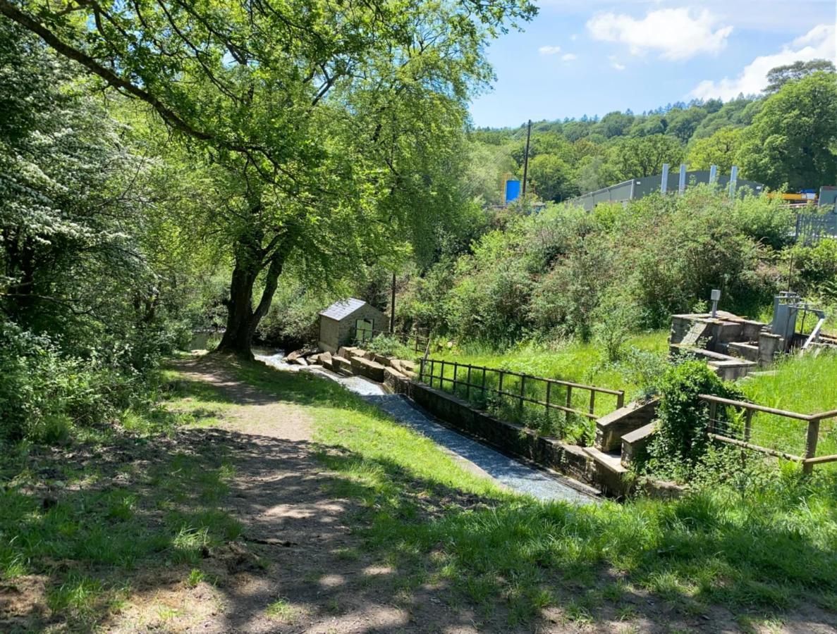 Old Co Op House -Forest Of Dean Bream Extérieur photo